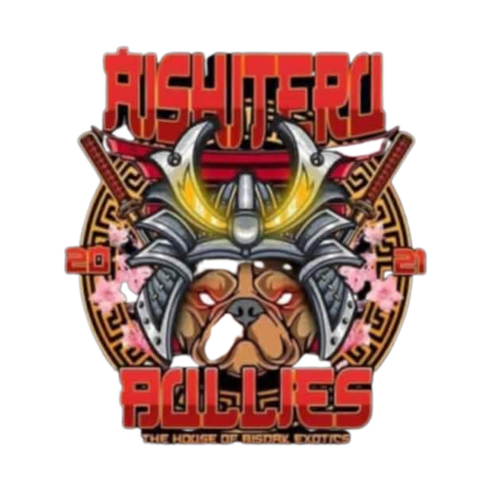 Aishiteru Bullies logo