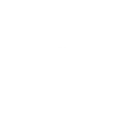 OPENRUNS DEVELOPMENTAL BASKETBALL LEAGUE